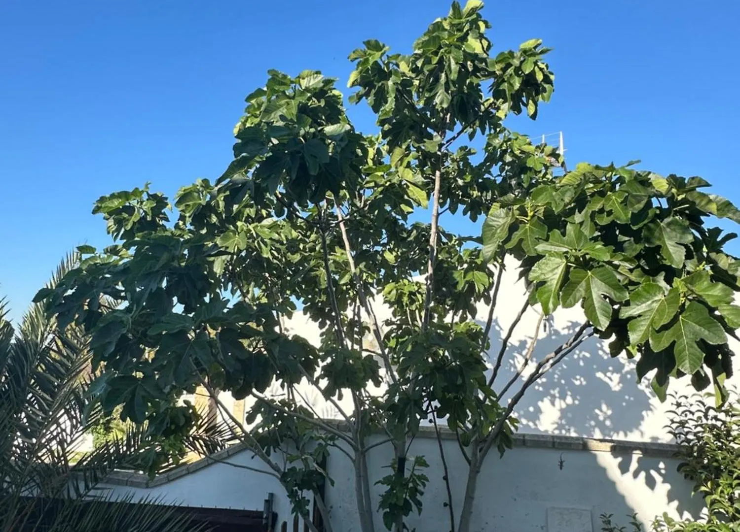 Paraiso De La Luz 7 Bedrooms, Swimming Pool & 4 Bathrooms カディス ヴィラ
